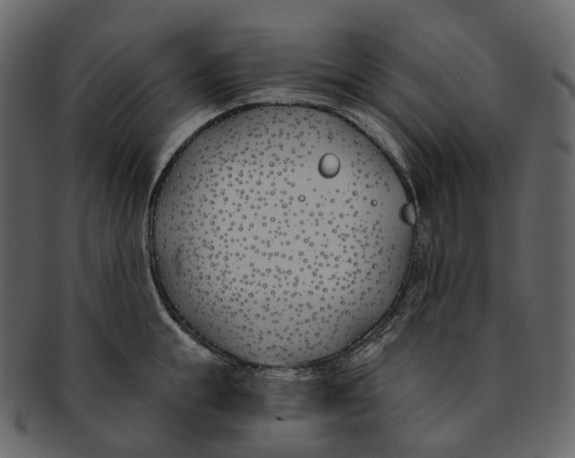 X0000093090855200710171136