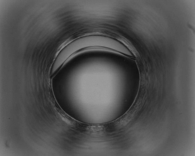 X0000093090858200710171136