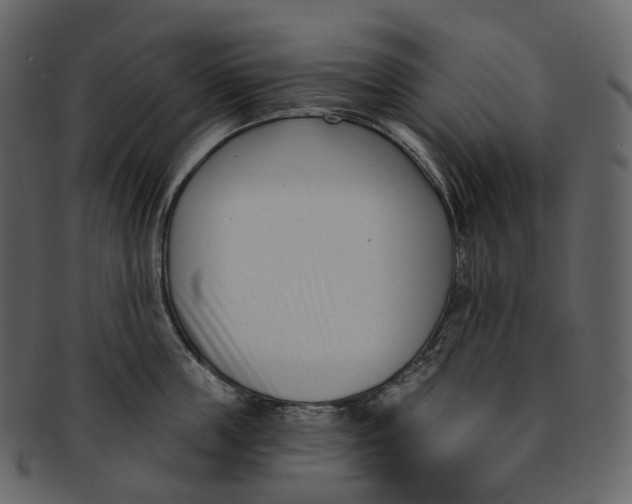 X0000093090859200710171136