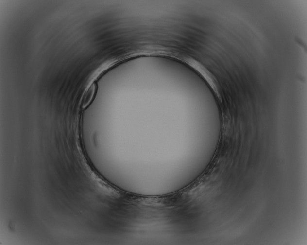 X0000093090861200710171136