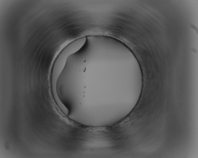 X0000093090864200710171136