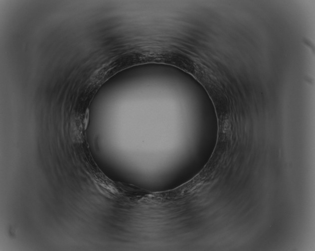 X0000093090868200710171135