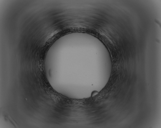 X0000093090870200710171135