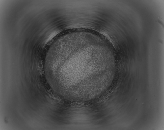 X0000093090871200710171135