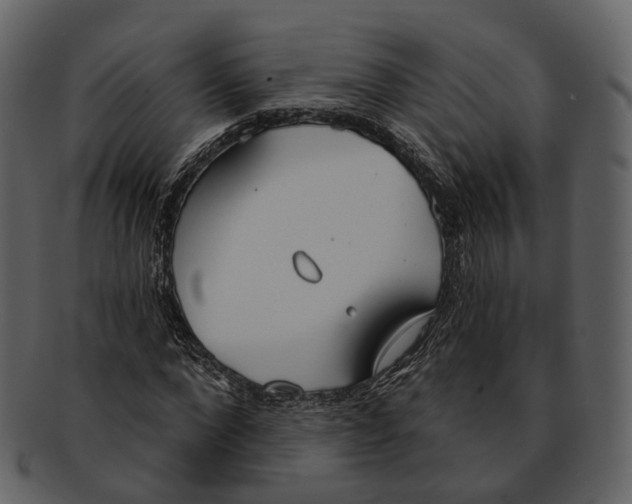 X0000093090872200710171135