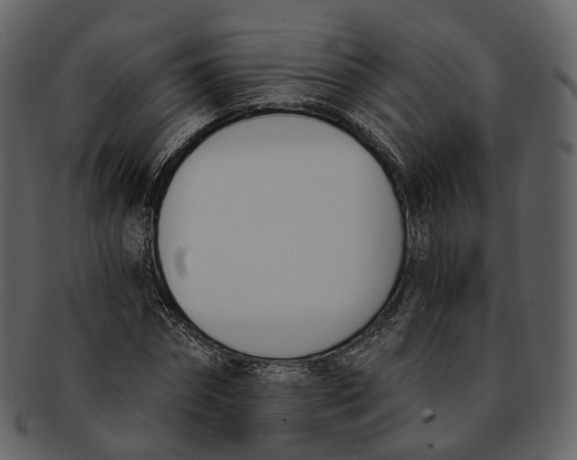 X0000093090874200710171135