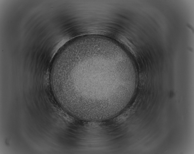 X0000093090875200710171135