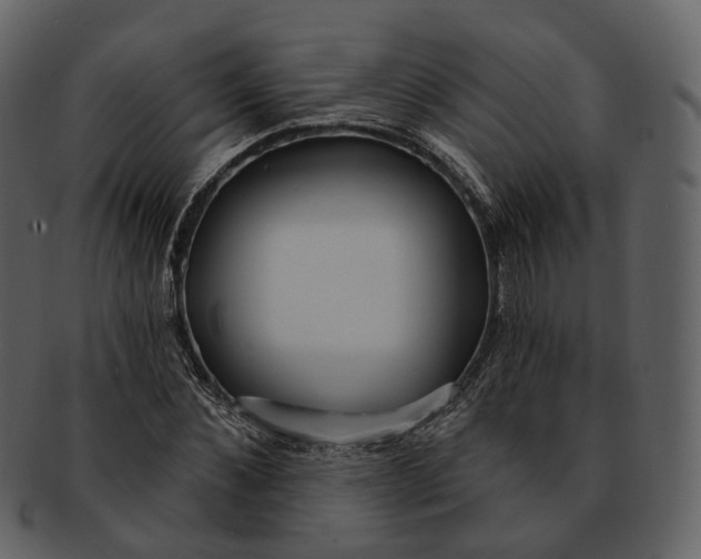 X0000093090876200710171135