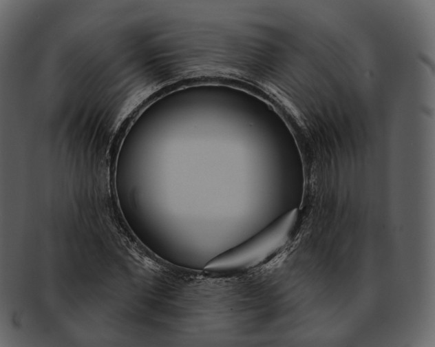 X0000093090877200710171135