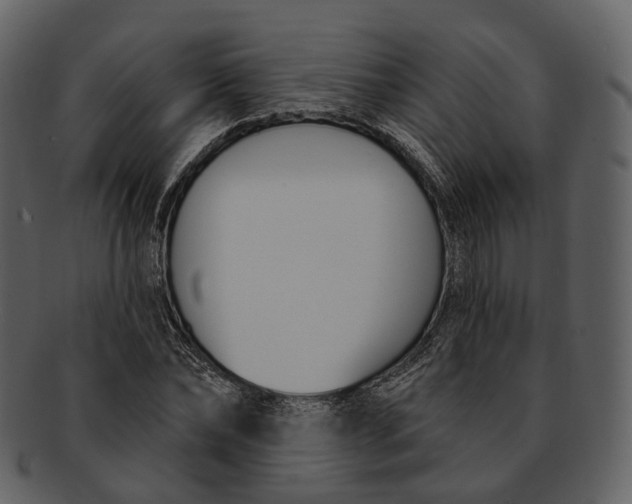 X0000093090878200710171135