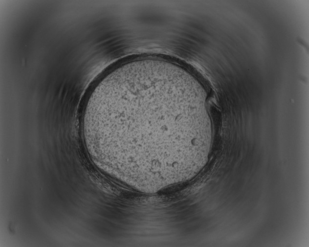 X0000093090879200710171135