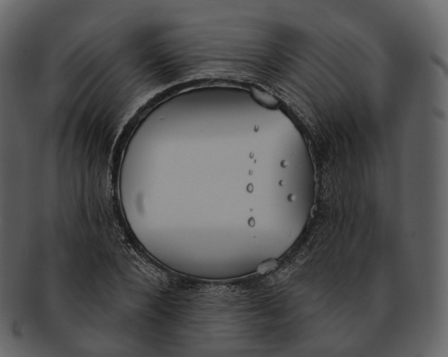 X0000093090880200710171135