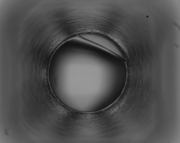 X0000093090881200710171135