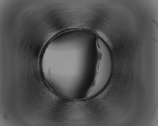 X0000093090884200710171135