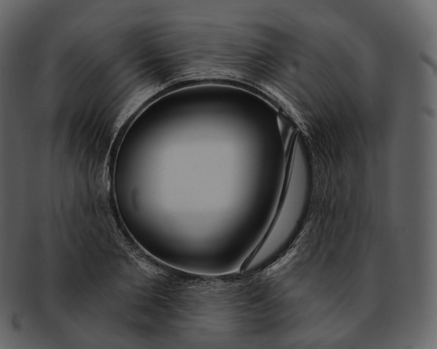 X0000093090885200710171135