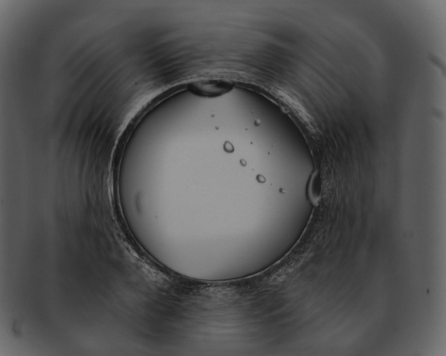 X0000093090888200710171135