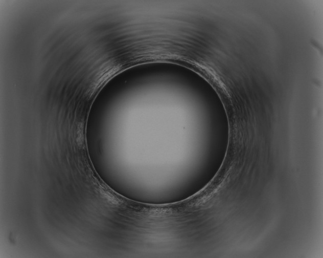 X0000093090889200710171135