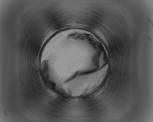 X0000093090891200710171135