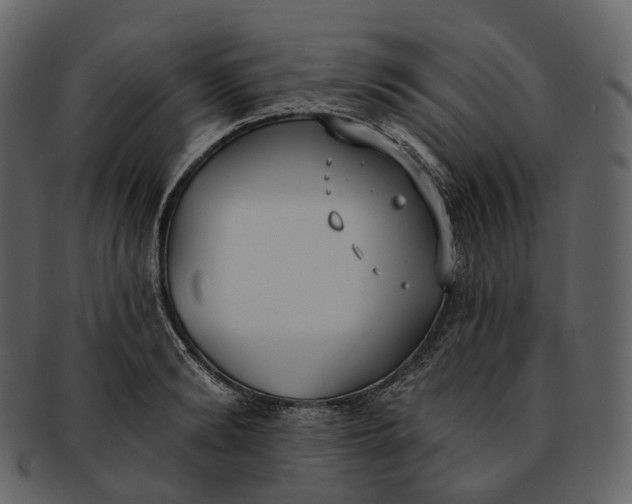 X0000093090894200710171135