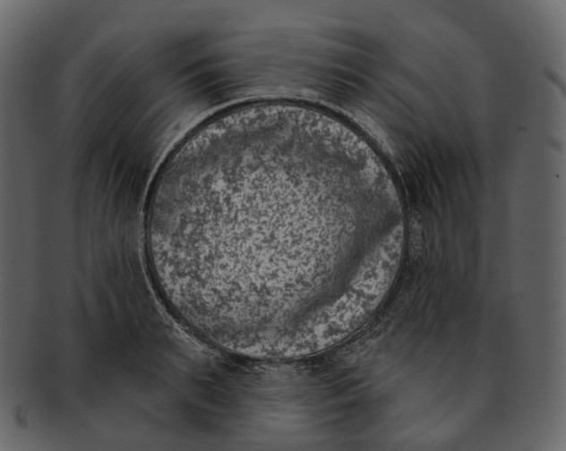 X0000093090895200710171135