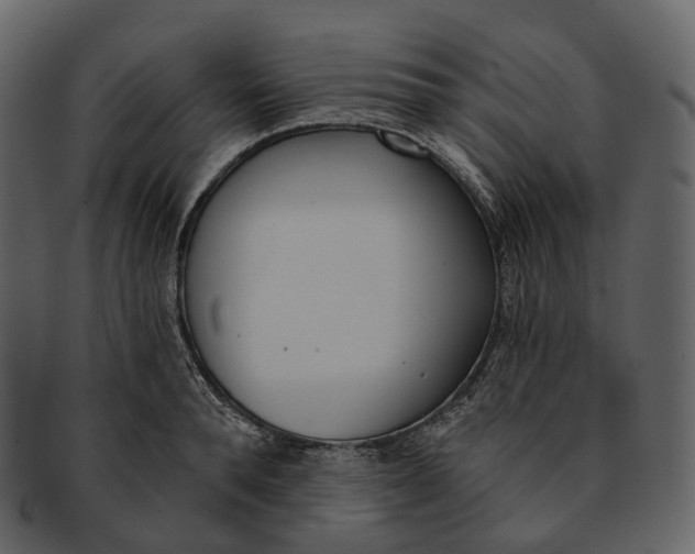 X0000093090896200710171135