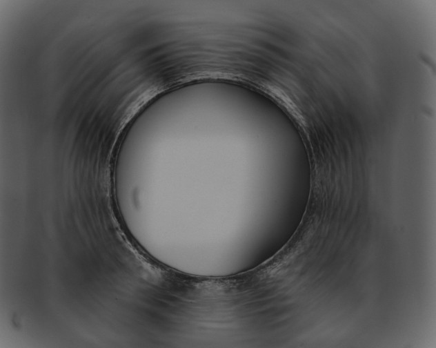 X0000093090898200710171135