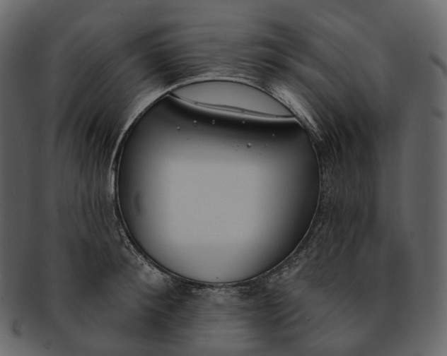 X0000093090900200710171135