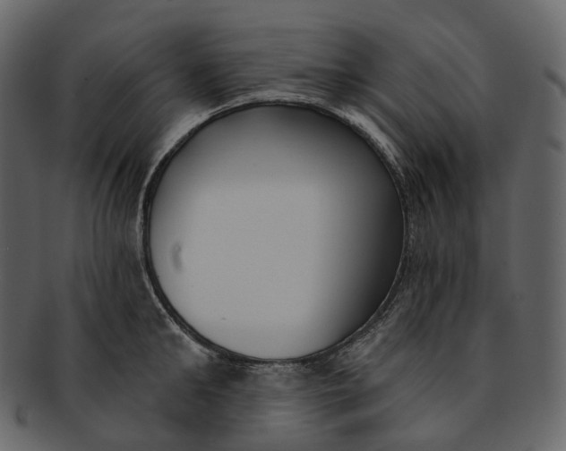 X0000093090902200710171135