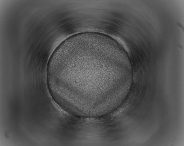 X0000093090903200710171135