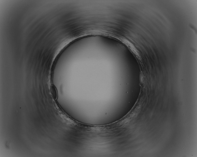 X0000093090904200710171135