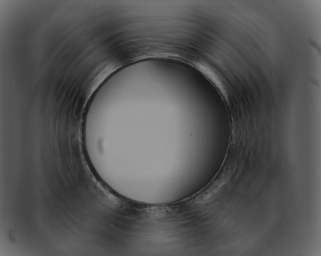 X0000093090906200710171135