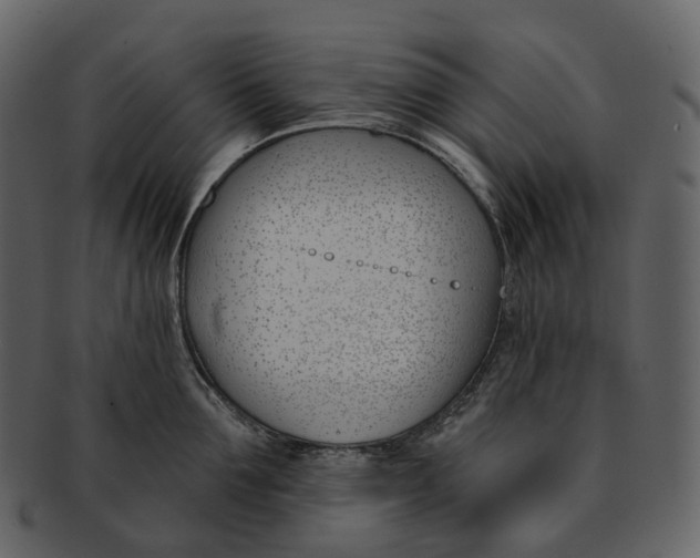 X0000093090907200710171135