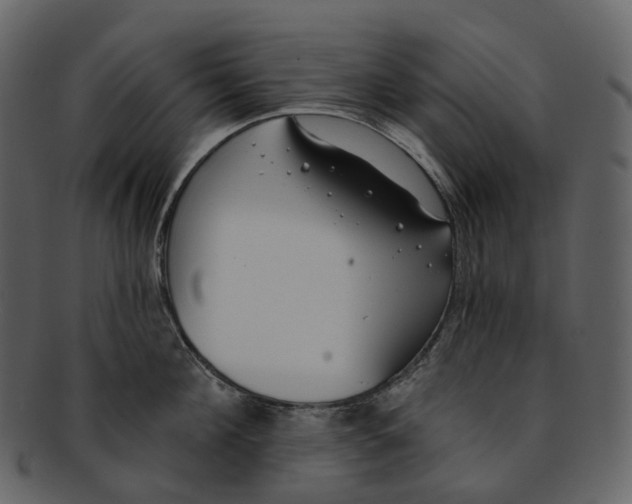 X0000093090908200710171135