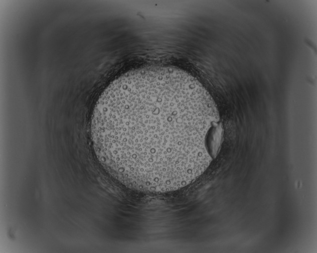 X0000093090913200710171134