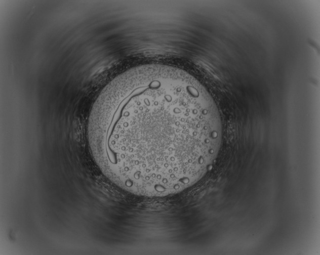 X0000093090917200710171134