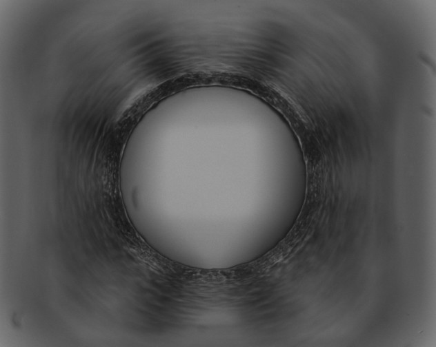 X0000093090919200710171134