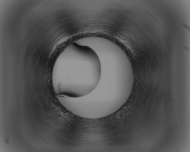 X0000093090920200710171134