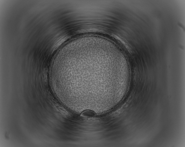 X0000093090921200710171134