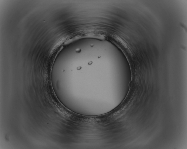 X0000093090922200710171134