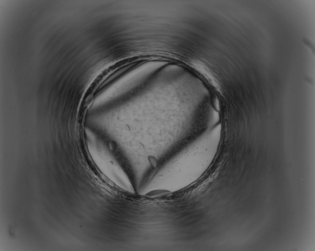 X0000093090924200710171134