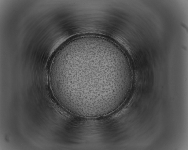 X0000093090925200710171134