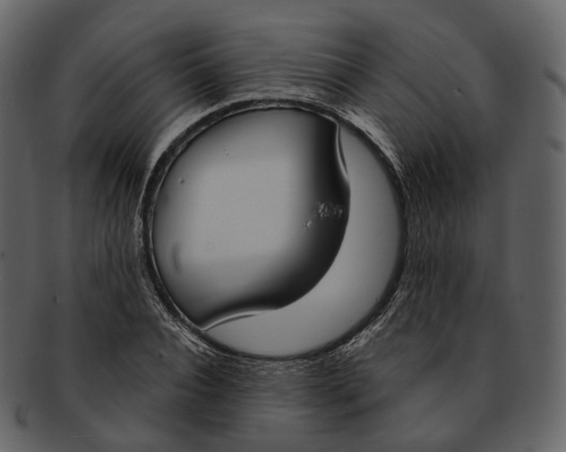 X0000093090928200710171134