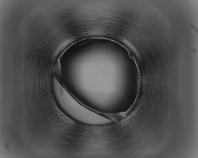 X0000093090930200710171134