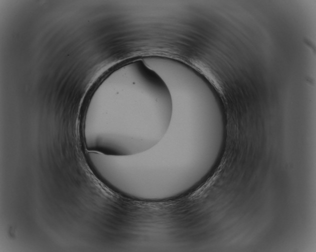 X0000093090932200710171134