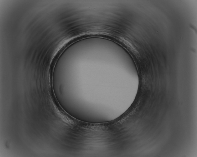 X0000093090934200710171134