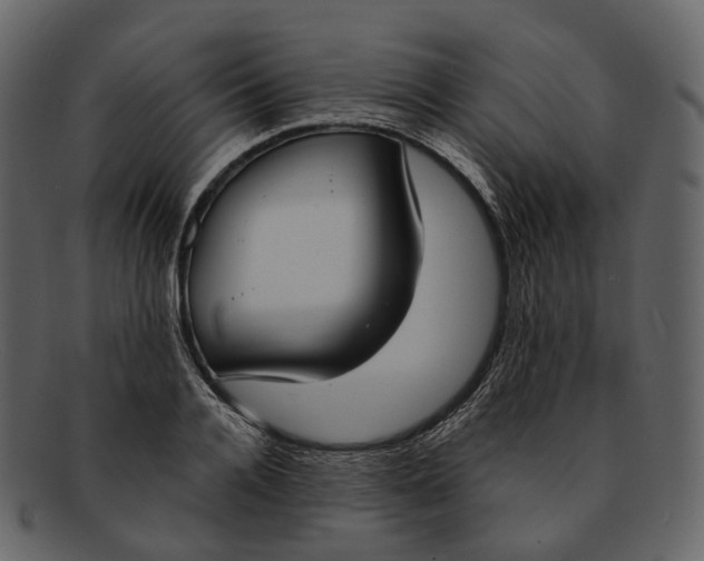 X0000093090936200710171135