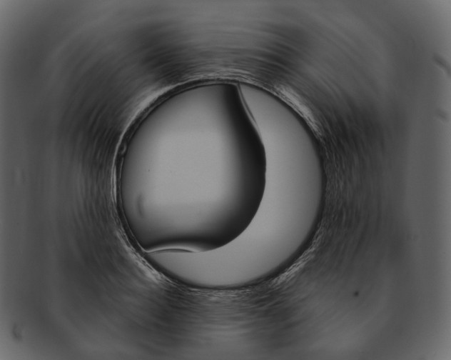 X0000093090940200710171135