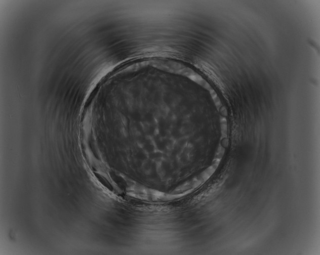 X0000093090941200710171135