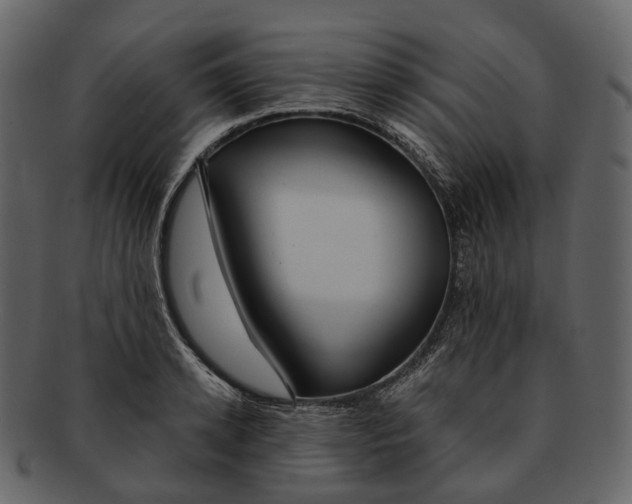 X0000093090942200710171135