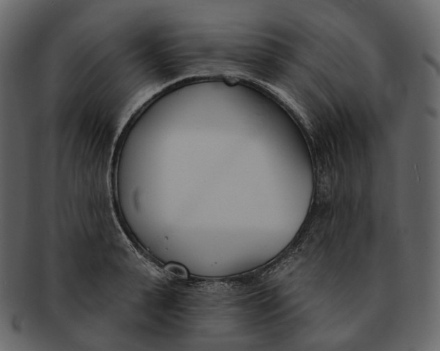 X0000093090943200710171135